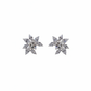 Star Cluster Stud