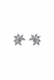 Star Cluster Stud