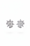 Star Cluster Stud Earrings