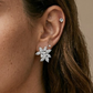 Star Cluster Stud
