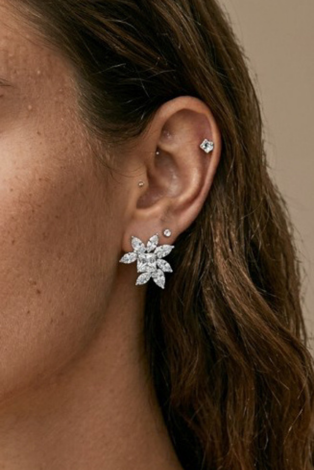 Star Cluster Stud
