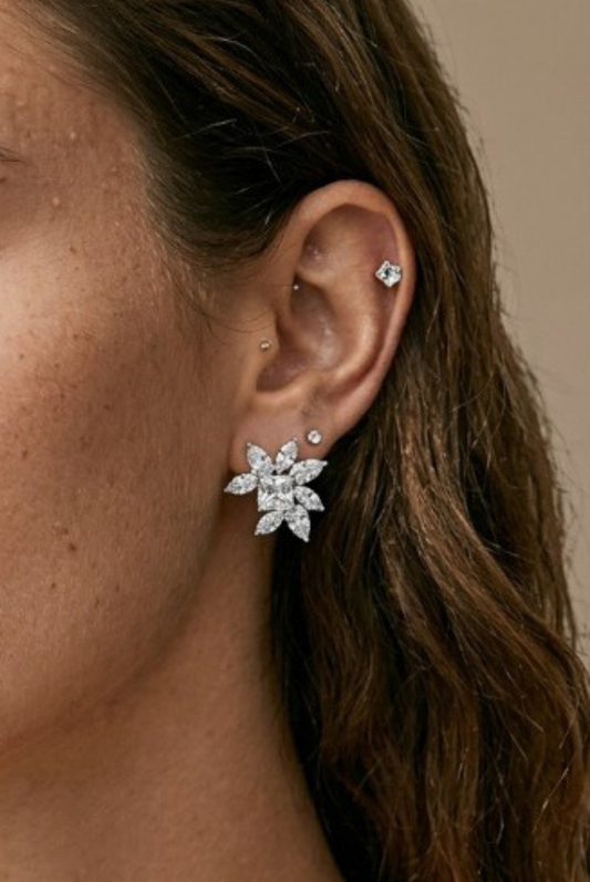 Star Cluster Stud