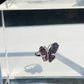 Whisper Wing Ring