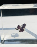 Whisper Wing Ring